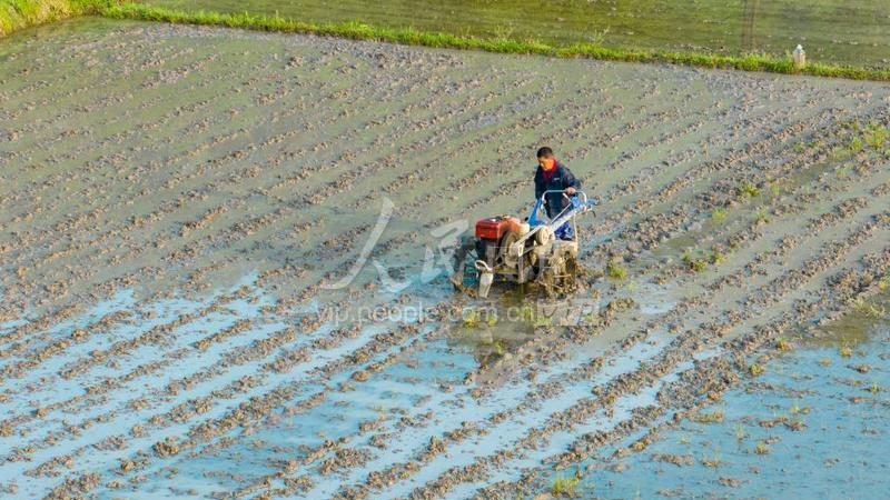 联合收割机油耗解析：一亩地究竟消耗多少油？**